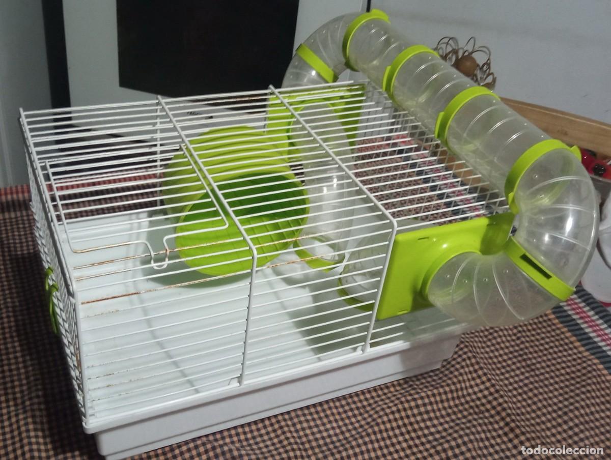 Segunda mano: Jaula con accesorios para hamster - Foto 1