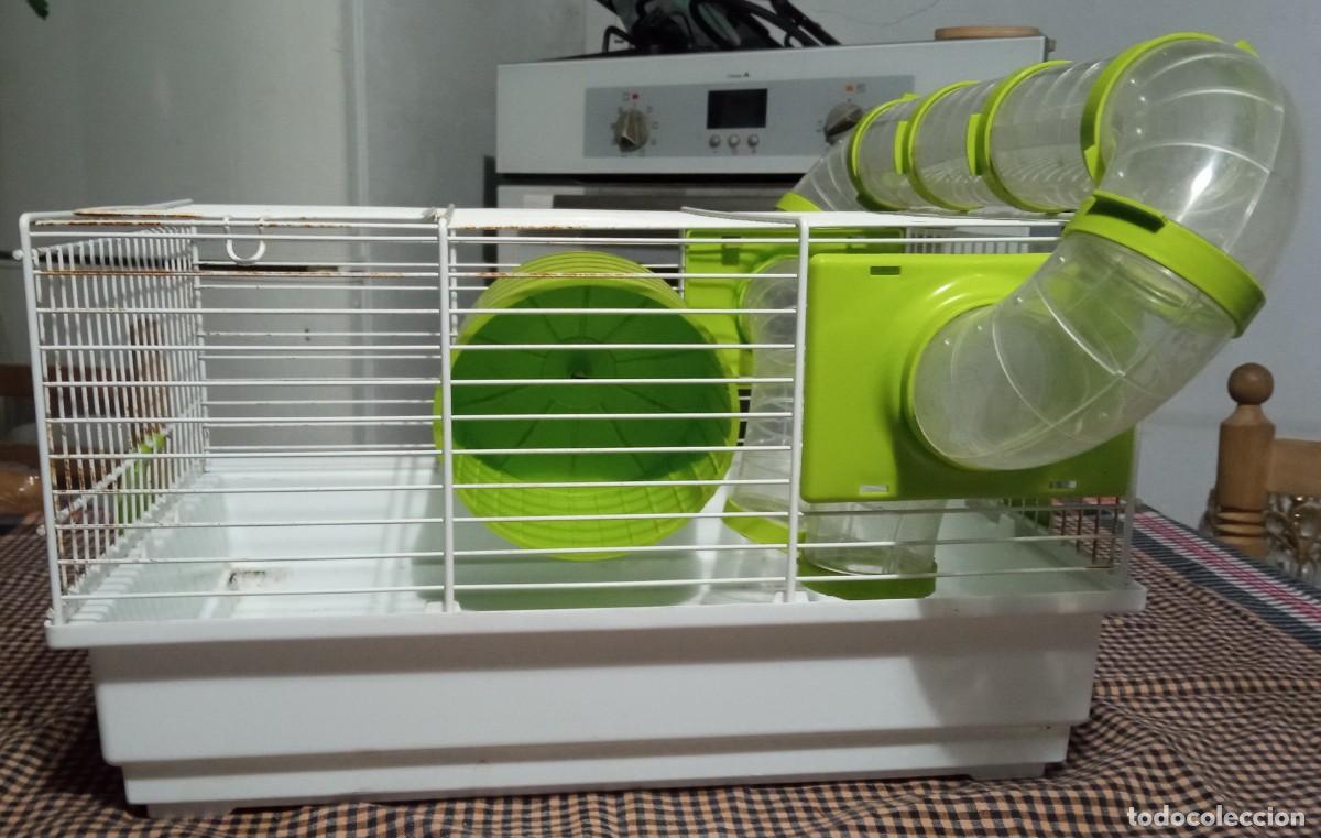 Segunda mano: Jaula con accesorios para hamster - Foto 2