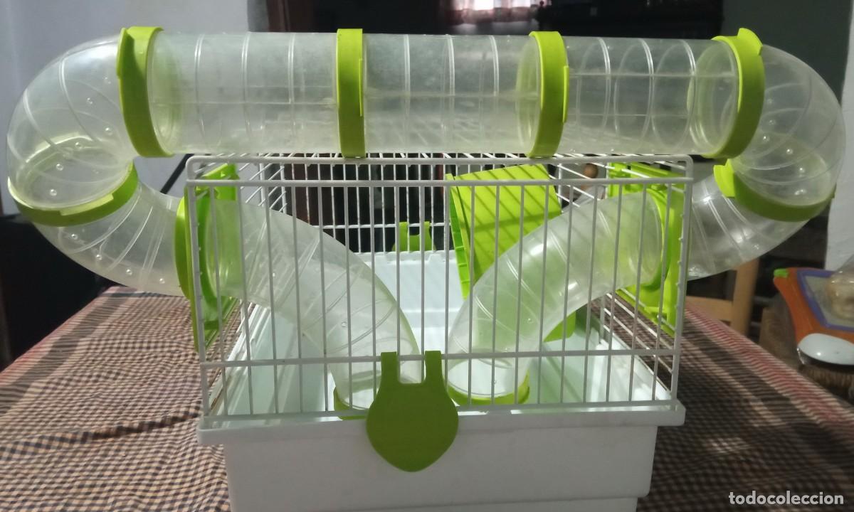 Segunda mano: Jaula con accesorios para hamster - Foto 3
