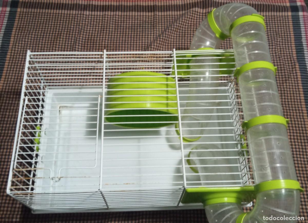 Segunda mano: Jaula con accesorios para hamster - Foto 4