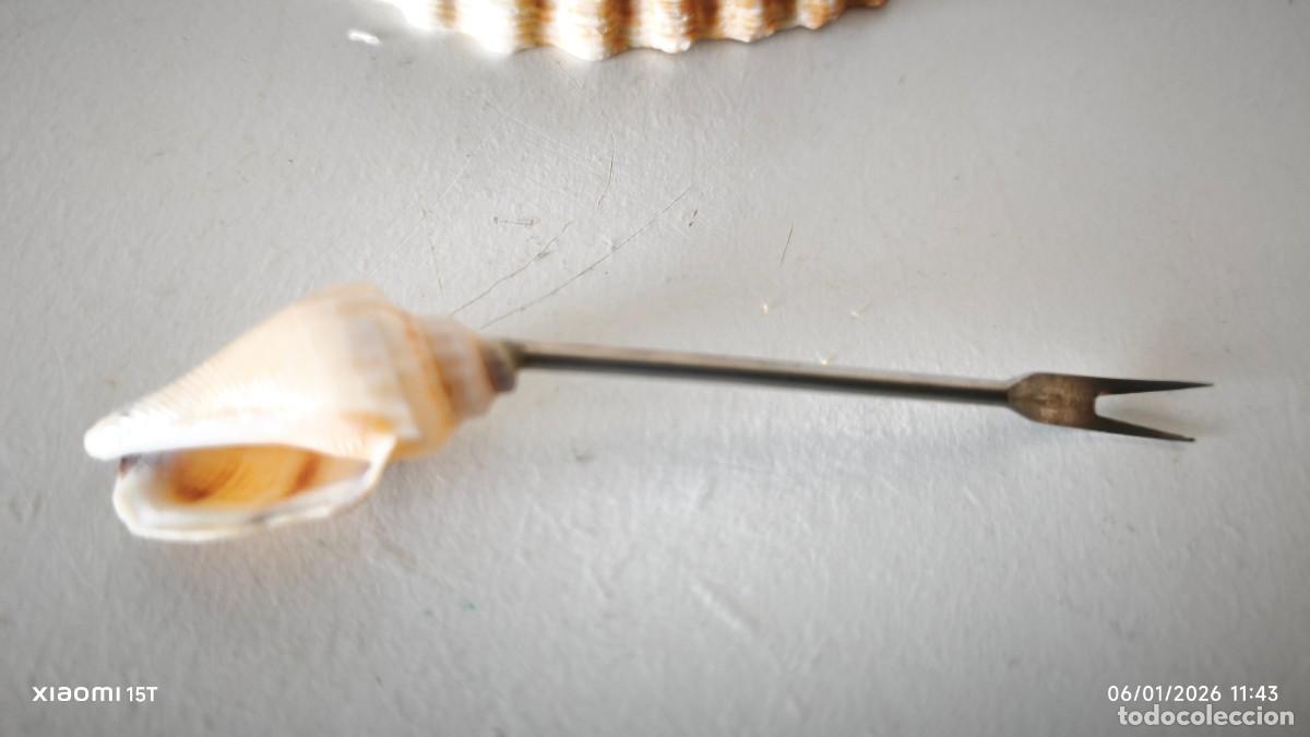 Segunda mano: PORTA PINCHOS APERITIVO CONCHAS - Foto 9