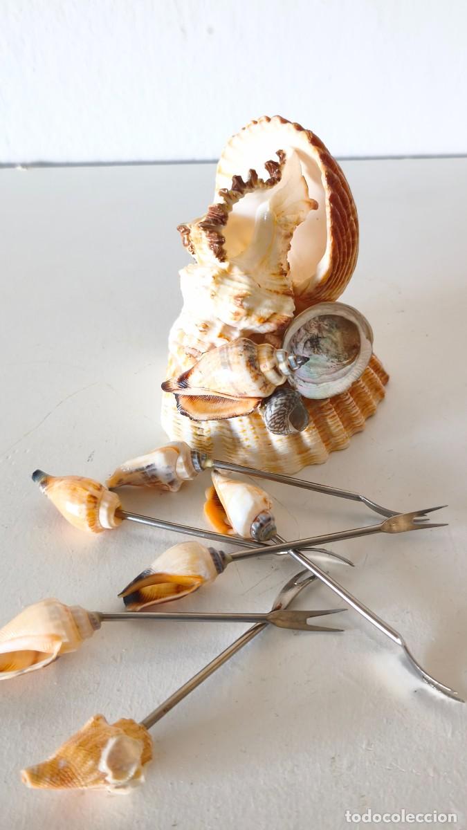 Segunda mano: PORTA PINCHOS APERITIVO CONCHAS - Foto 14