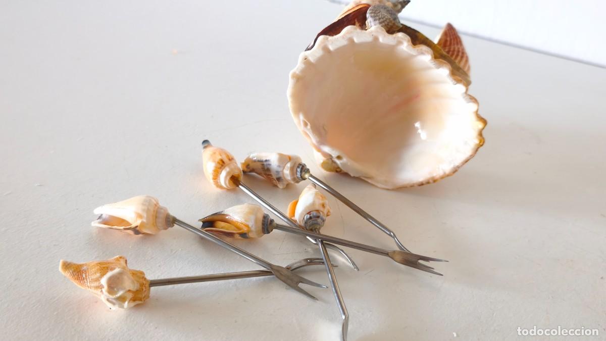 Segunda mano: PORTA PINCHOS APERITIVO CONCHAS - Foto 15