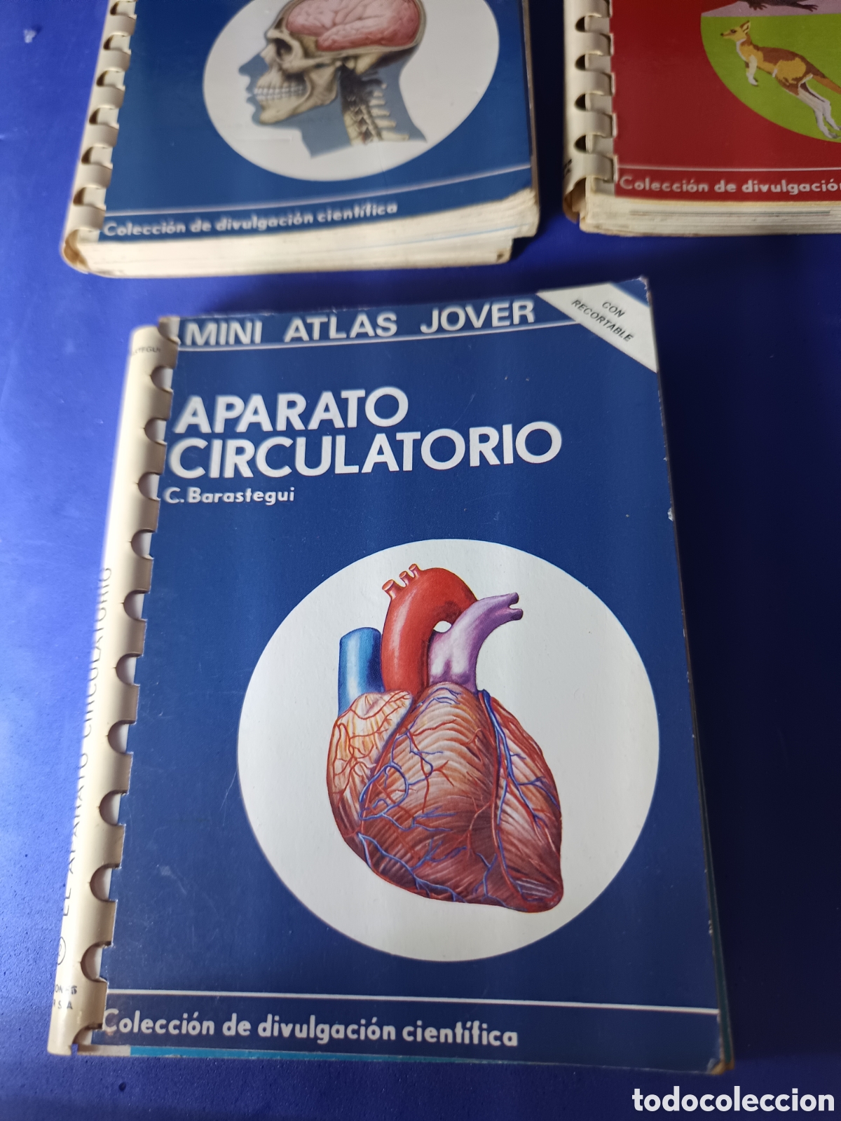 Segunda mano: Lote 7 Mini Atlas Jover Colecci&oacute;n Cient&iacute;fica - Foto 2