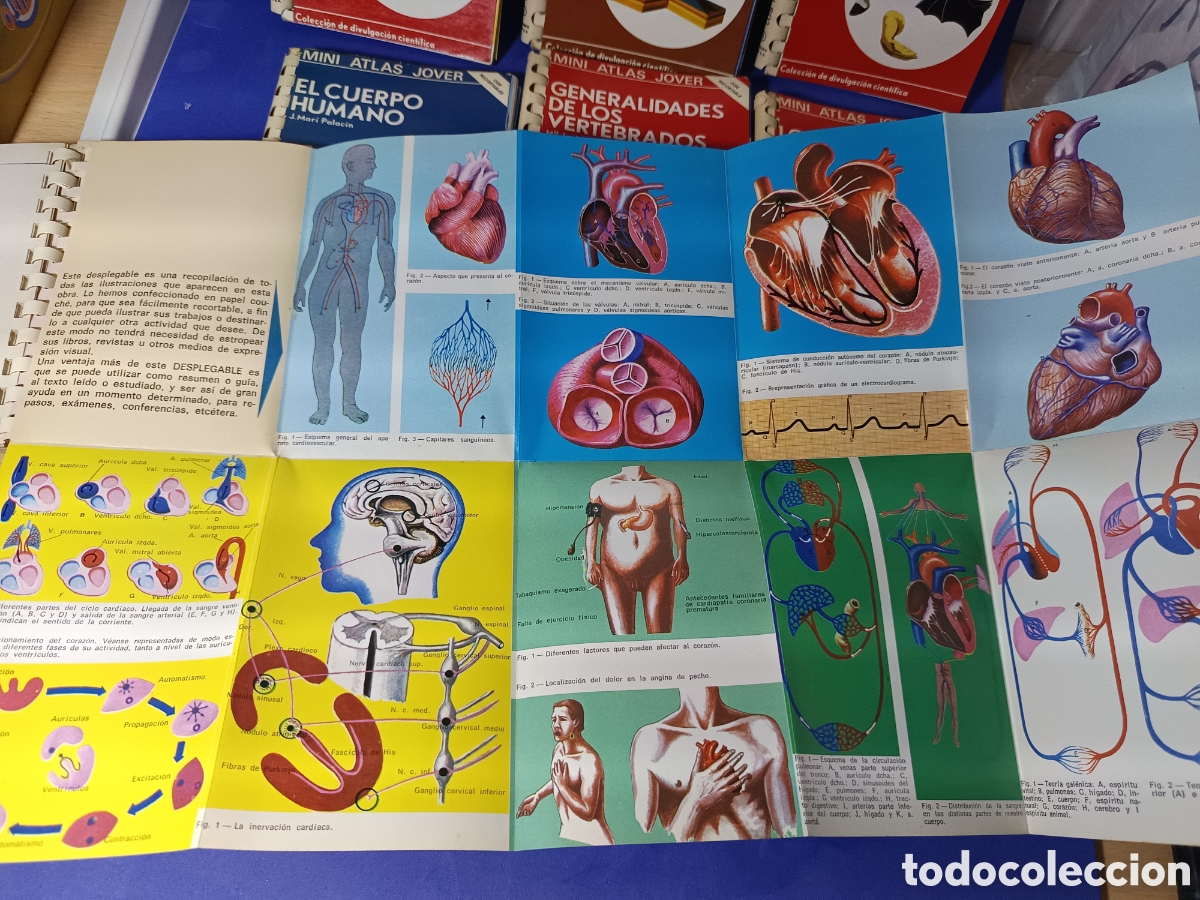 Segunda mano: Lote 7 Mini Atlas Jover Colecci&oacute;n Cient&iacute;fica - Foto 7
