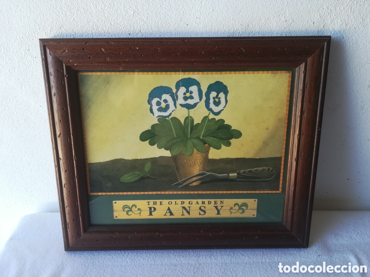 Segunda mano: Cuadros l&aacute;minas plantas - Foto 2