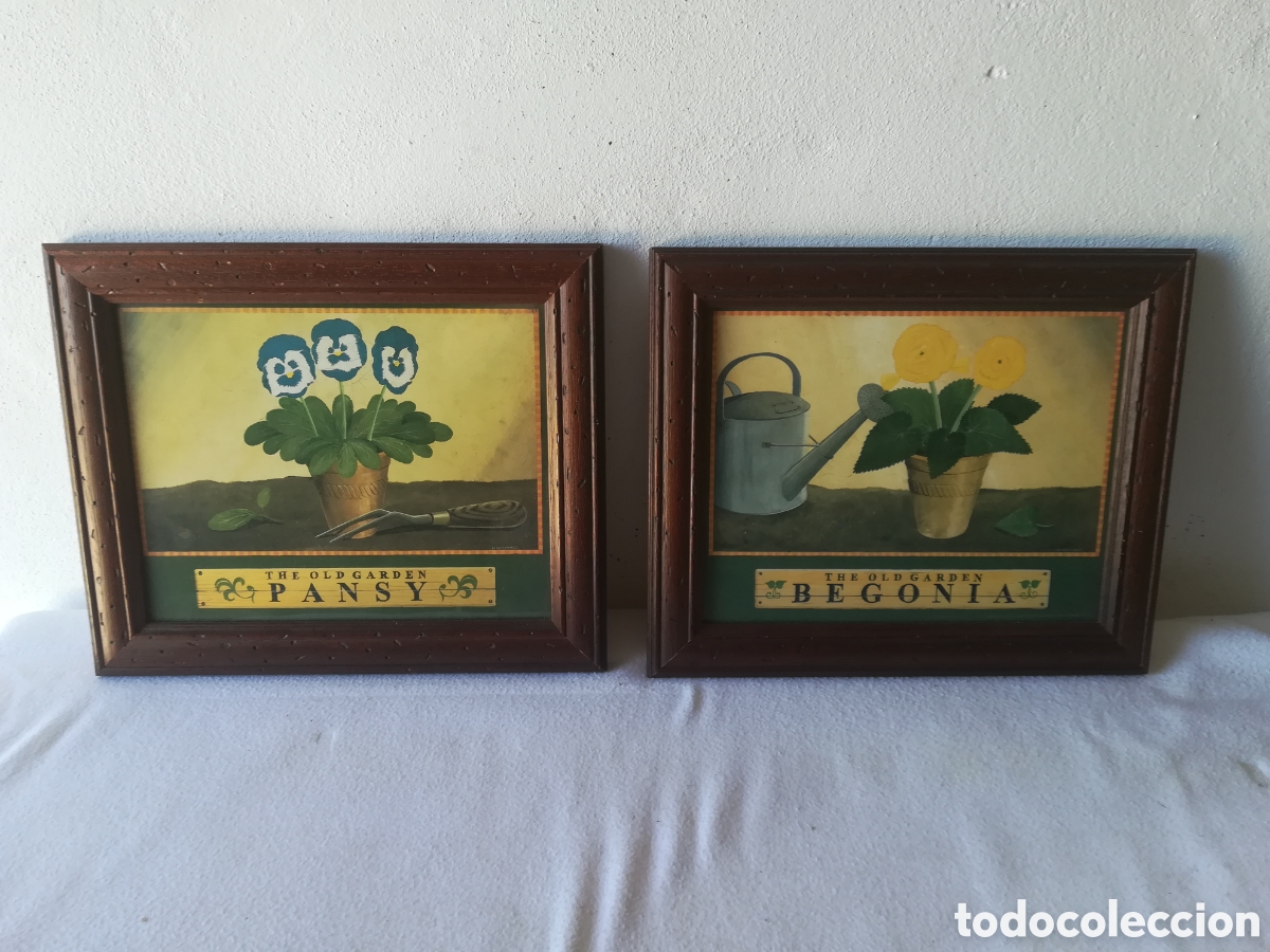 Segunda mano: Cuadros l&aacute;minas plantas - Foto 1