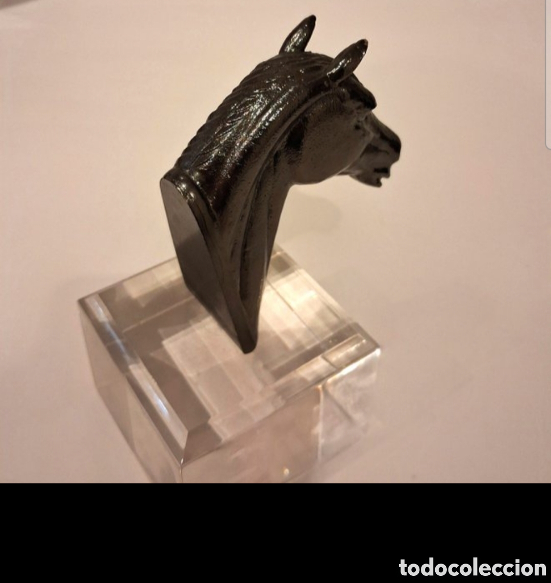 Segunda mano: Cabeza de caballo en bronce - Foto 2