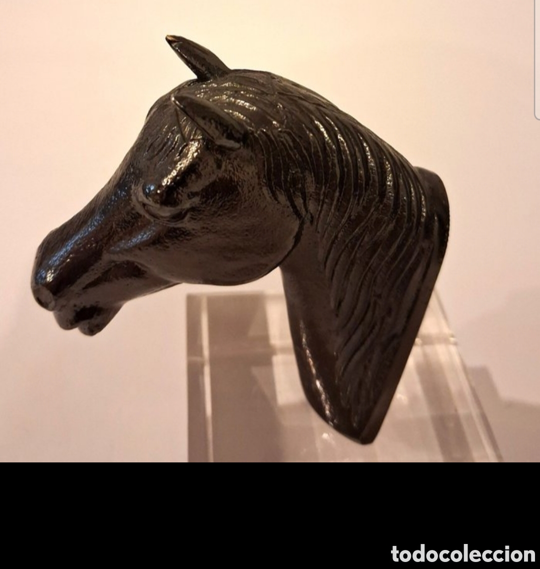 Segunda mano: Cabeza de caballo en bronce - Foto 1