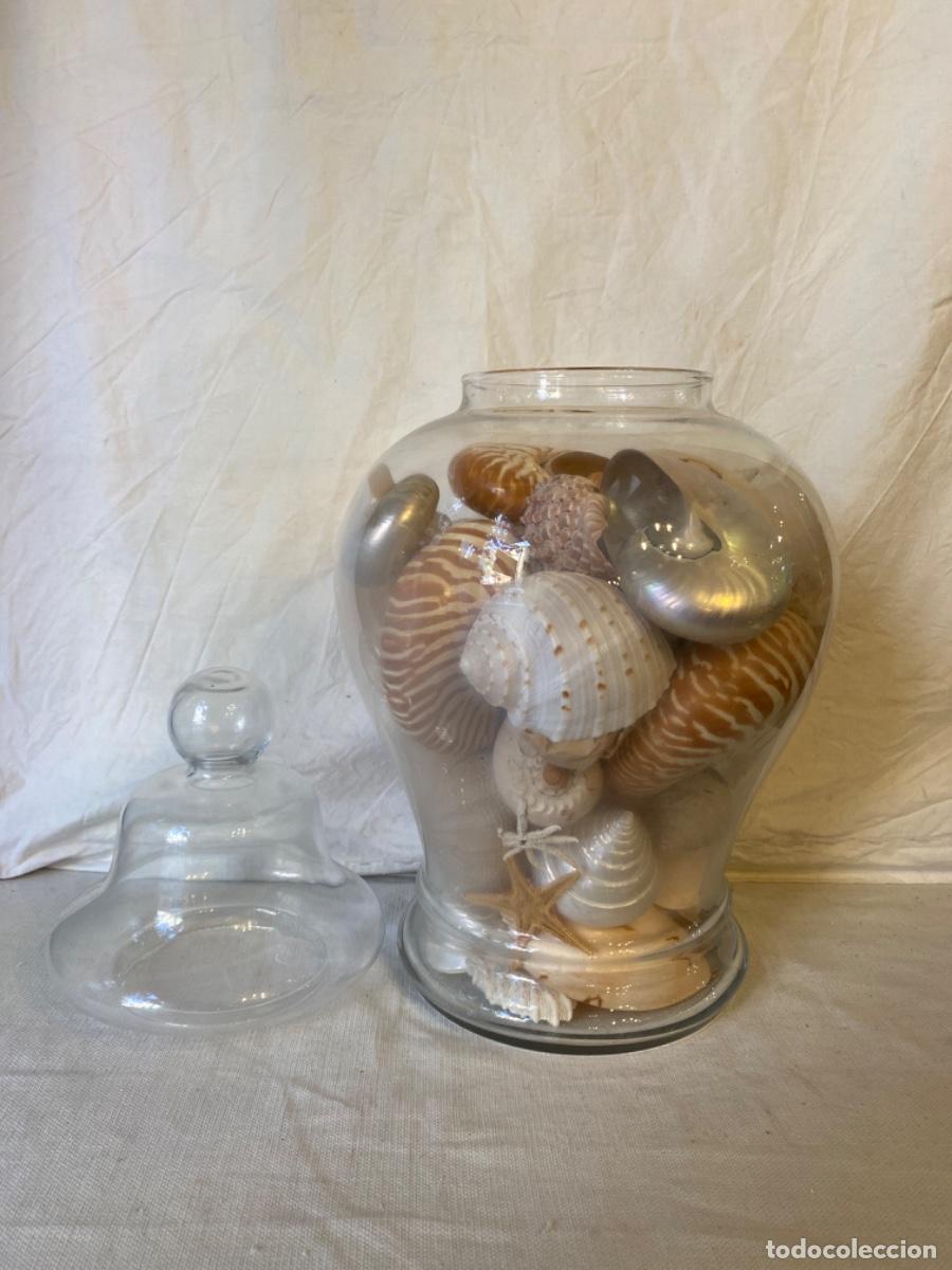 Segunda mano: GRAN RECIPIENTE DE CRISTAL CON NAUTILUS Y CARACOLAS. - Foto 2