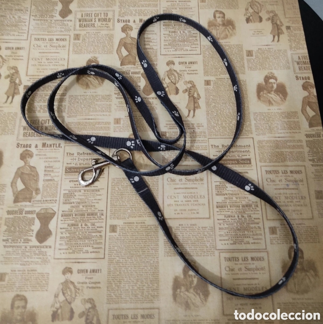 Segunda mano: Collar de Paseo para Perros Peque&ntilde;os de Tienda Local - Foto 4