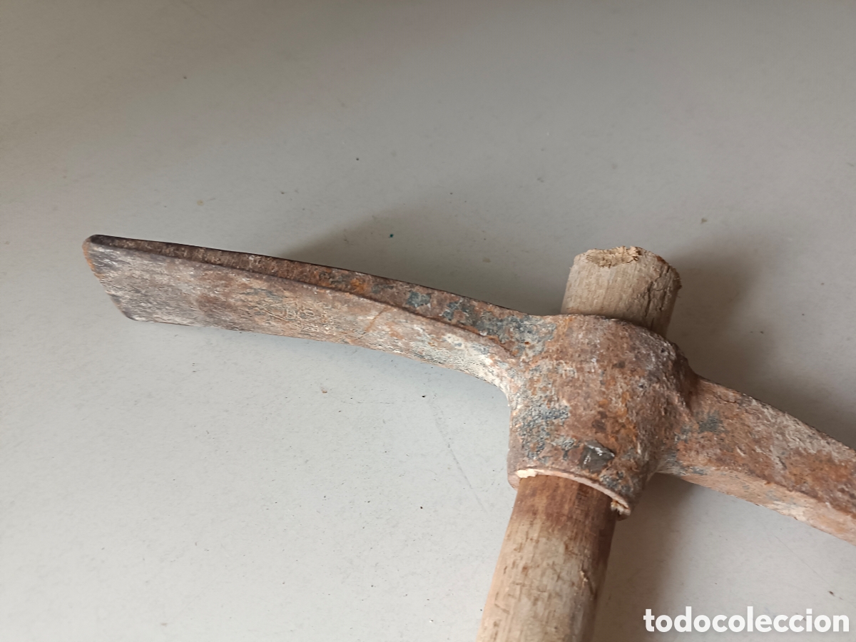 Segunda mano: Picola Bellota Picola - Foto 6