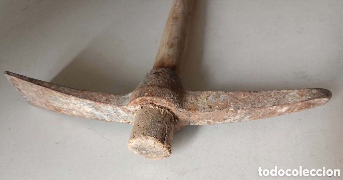 Segunda mano: Picola Bellota Picola - Foto 9