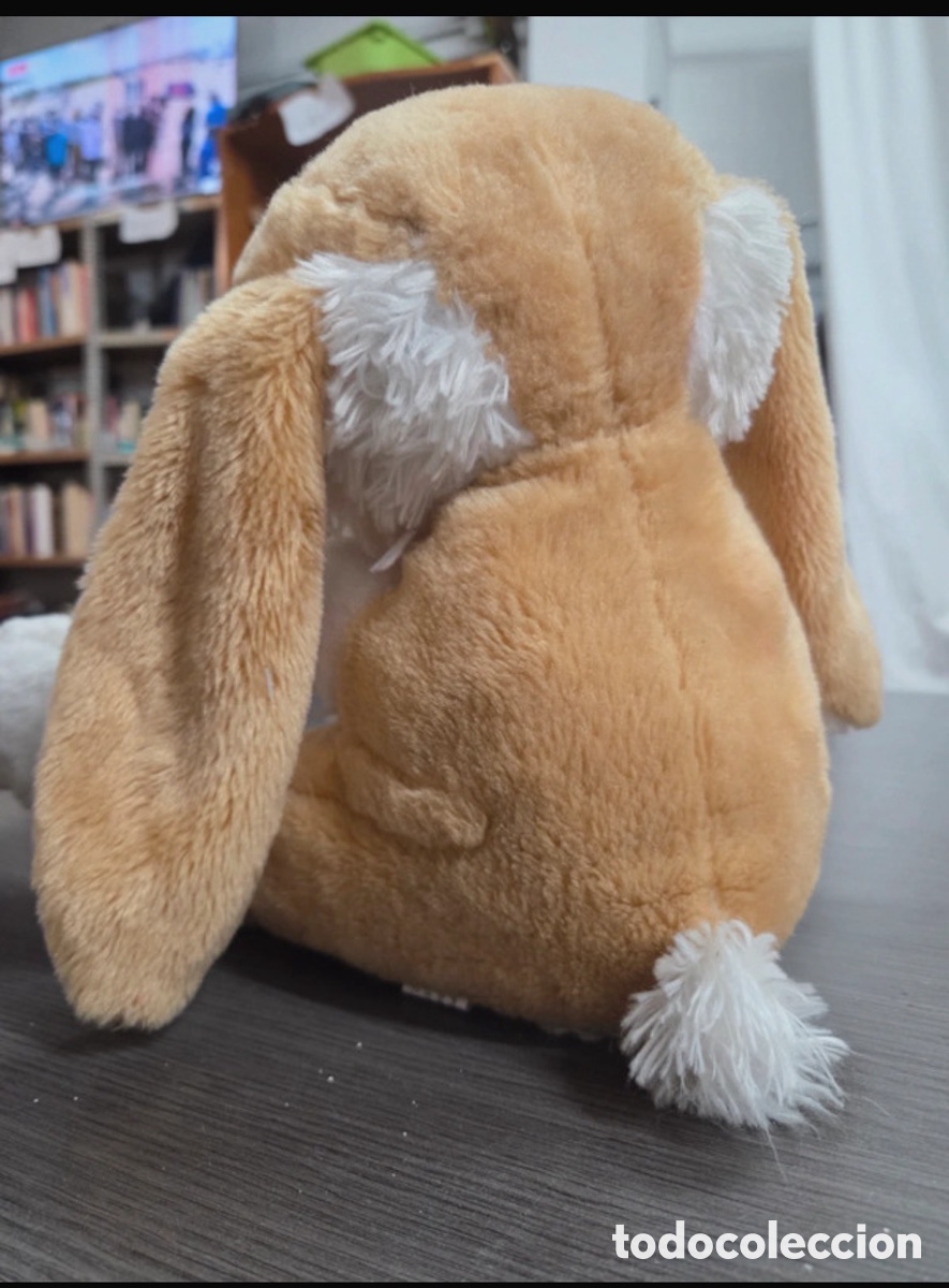 Segunda mano: Conejo de peluche usado - Foto 3