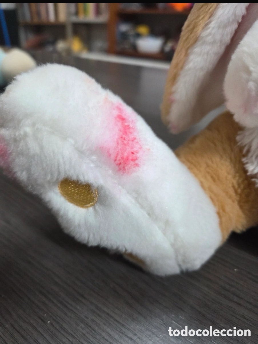 Segunda mano: Conejo de peluche usado - Foto 4