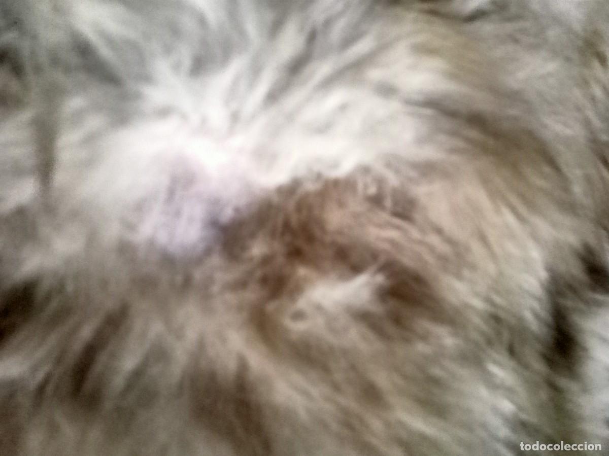 Segunda mano: Cojin piel conejo en beig - Foto 2