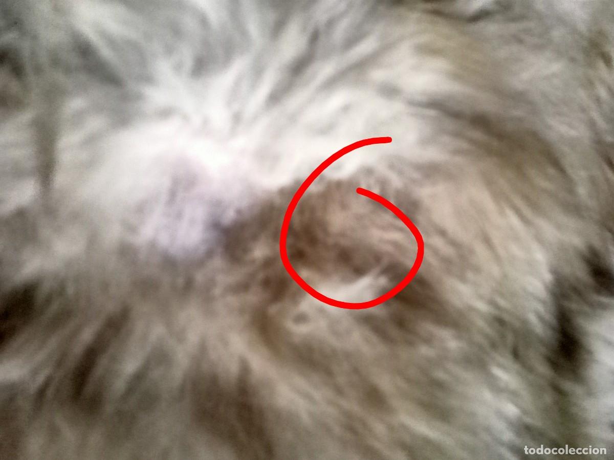 Segunda mano: Cojin piel conejo en beig - Foto 6