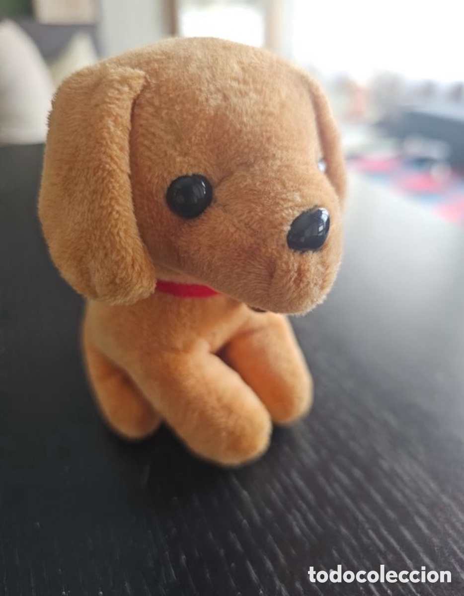 Segunda mano: Perrito de peluche peque&ntilde;o - Foto 2