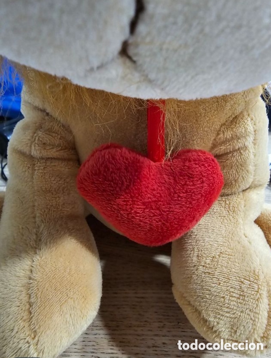 Segunda mano: Le&oacute;n de peluche usado - Foto 4