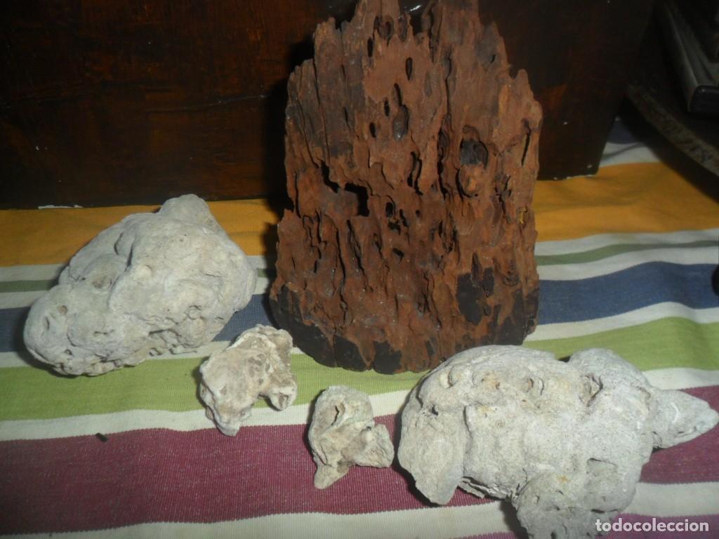 Segunda Mano: 122- Lote de decoraci&oacute;n para acuario y aquascaping (5 piezas)