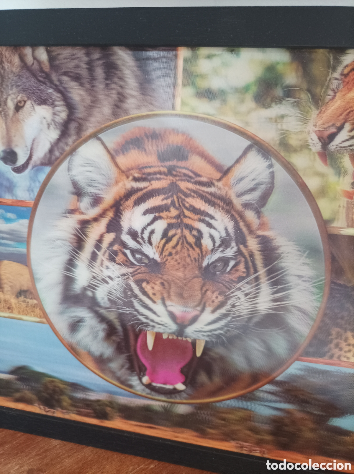 Segunda mano: Cuadro 3D Lenticular Animales Salvajes - 43x33 cm - Foto 2