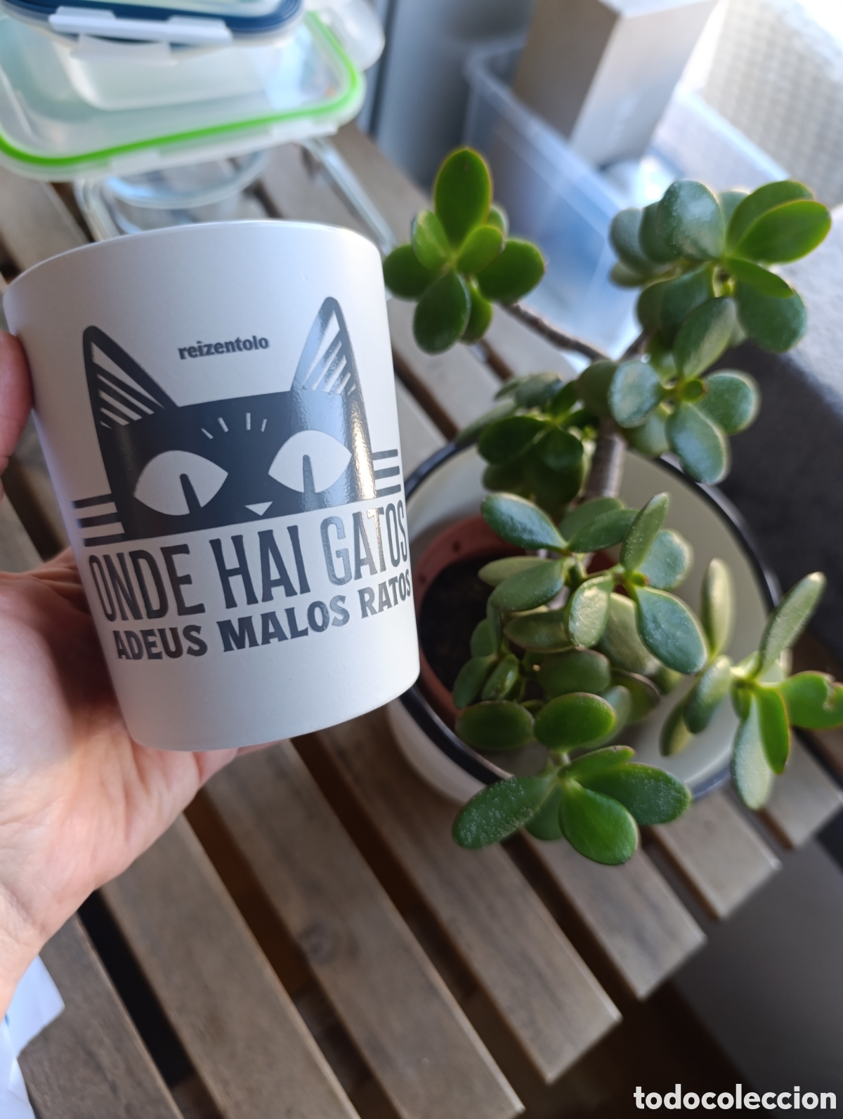 Segunda M&atilde;o: Taza &rdquo;Onde hai gatos non hai malos ratos&rdquo;