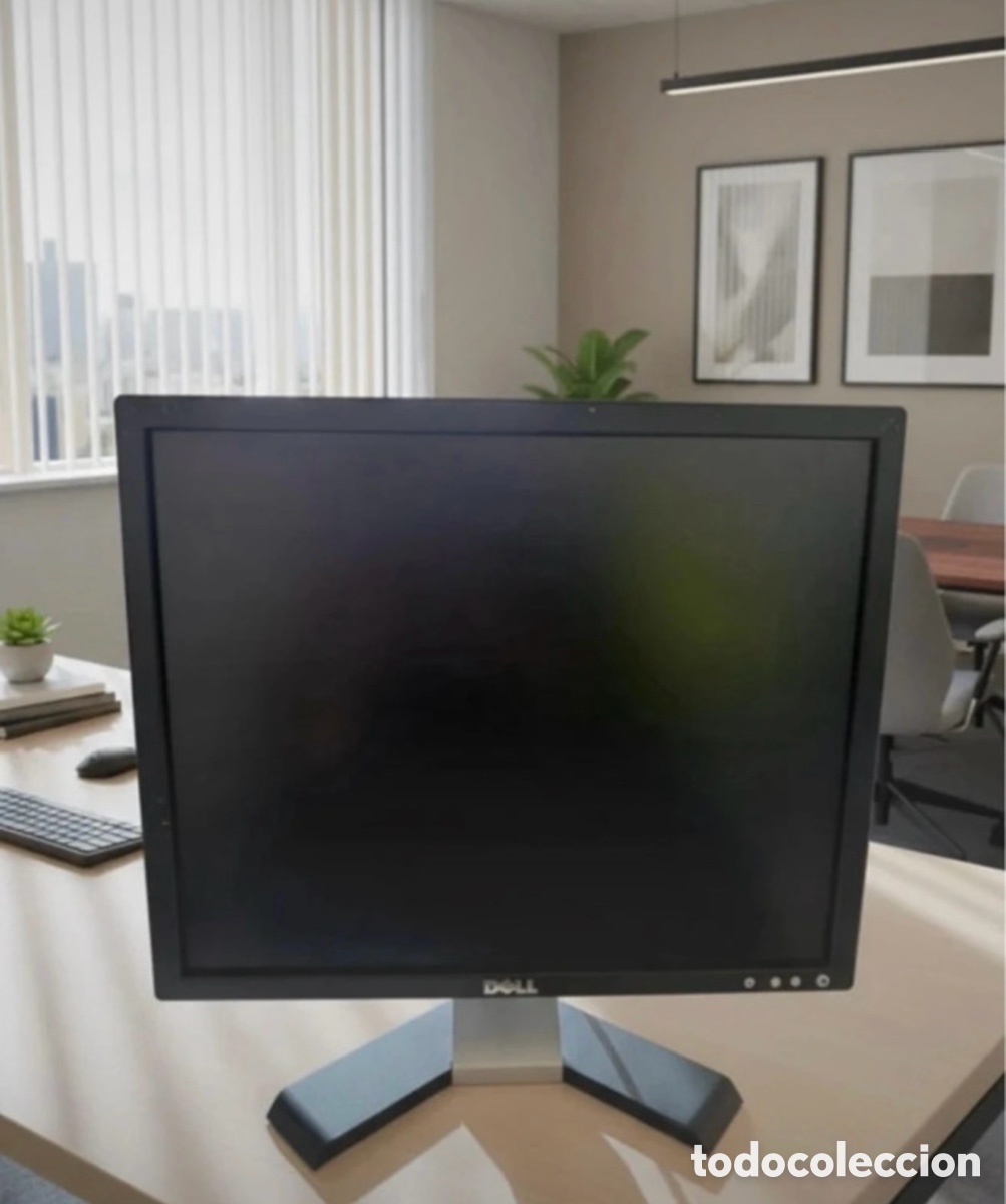 Segunda Mano: Monitor Dell E197FPf