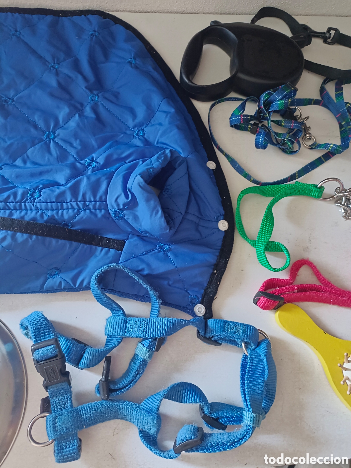 Segunda mano: Lote accesorios para perr@ - Foto 5