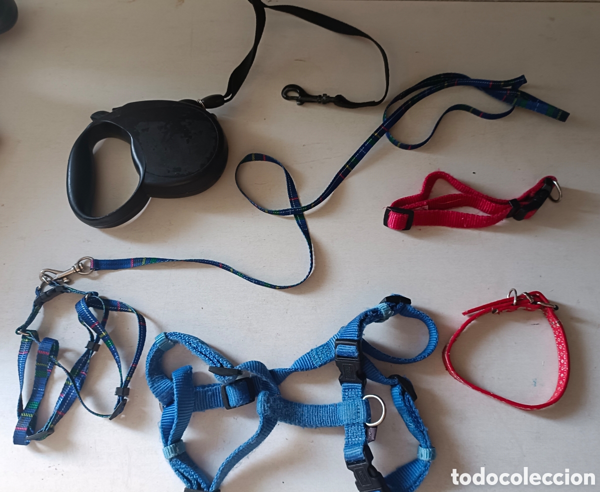 Segunda mano: Lote accesorios para perr@ - Foto 8