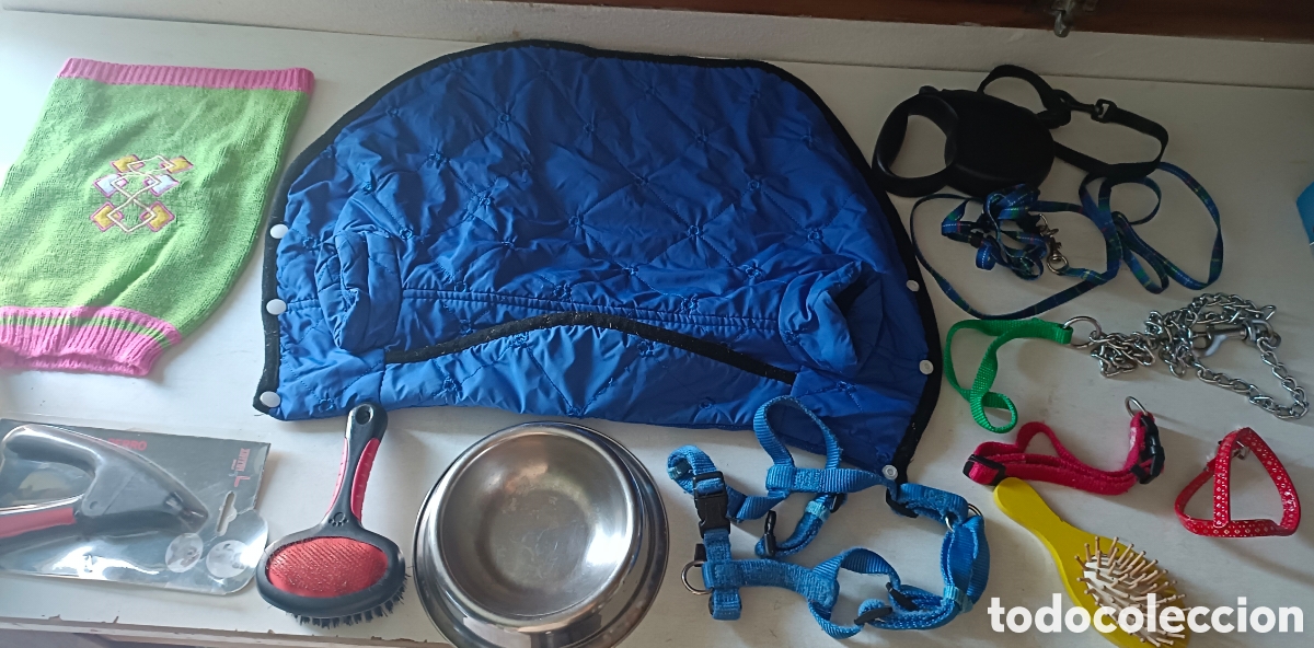 Segunda Mano: Lote accesorios para perr@