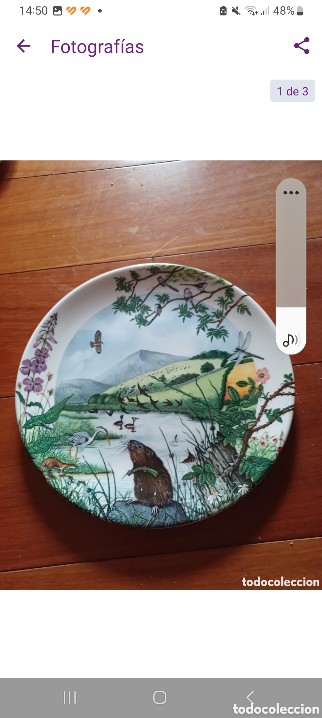 Segunda Mano: Pareja de platos antiguos de patos y nutria