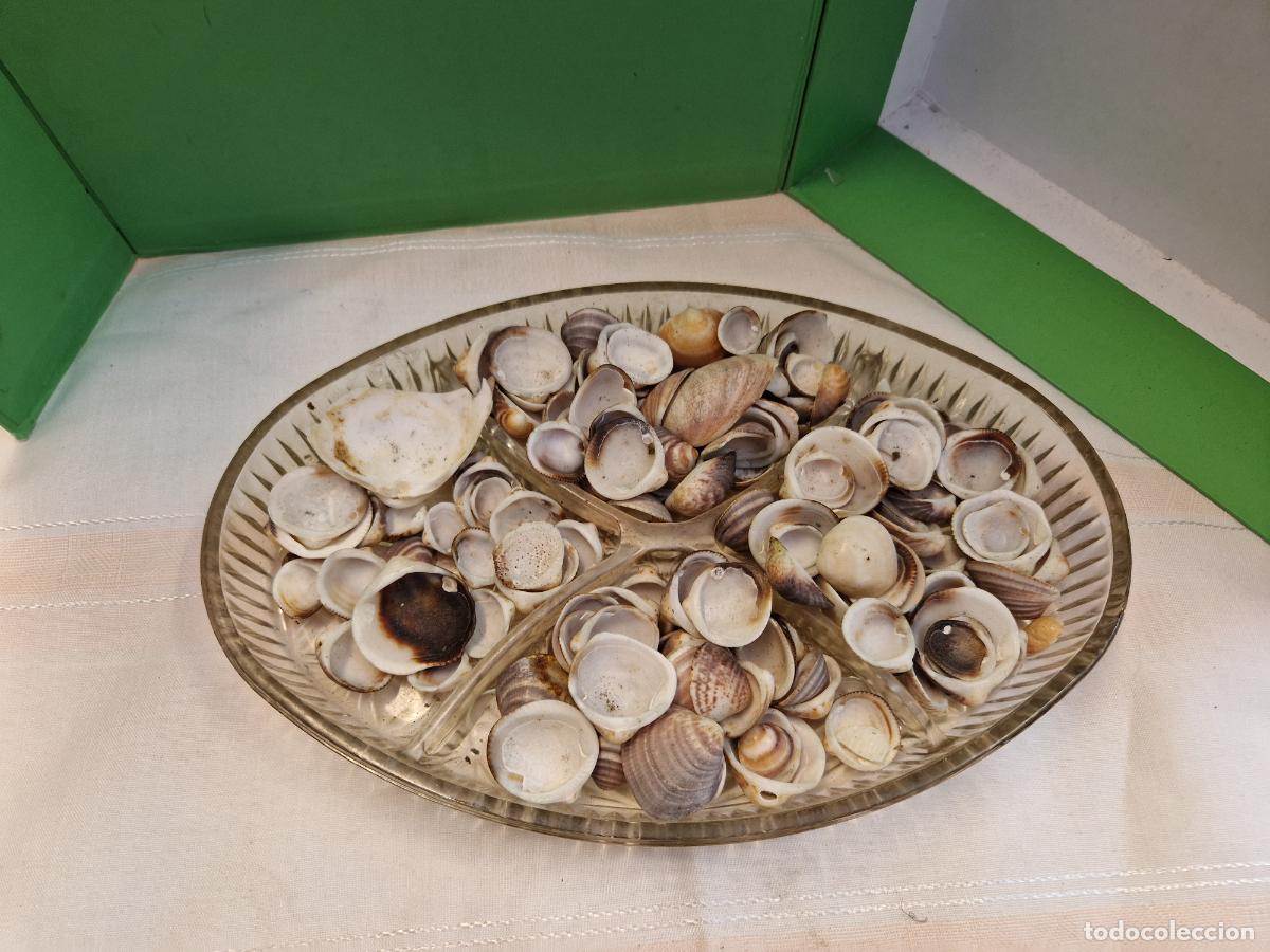 Segunda Mano: BONITAS CONCHAS DE MAR DECORATIVAS + BANDEJA EN CRISTAL.