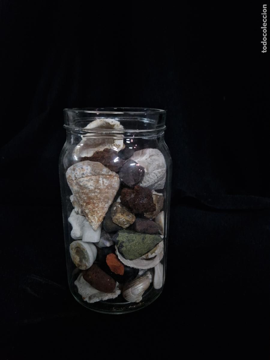 Segunda Mano: BONITA COLECCION DE PIEDRAS Y CONCHAS DECORATIVAS.