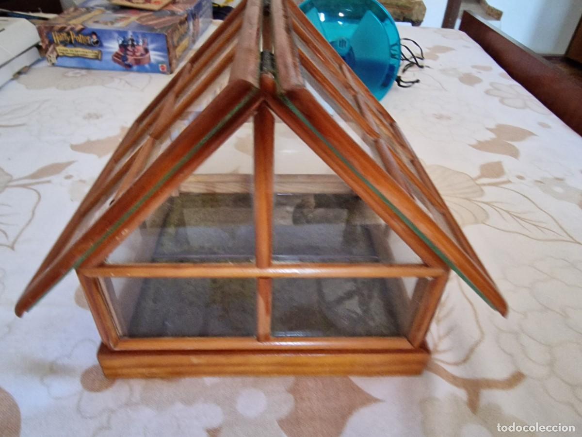 Segunda mano: Lote 2762. Invernadero de madera y cristal, de 23 X 23,5
