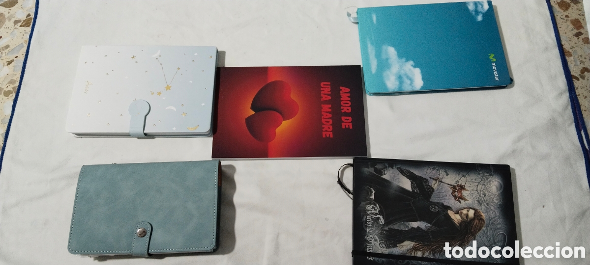 Segunda mano: Lote cuadernos y organizador ahorro