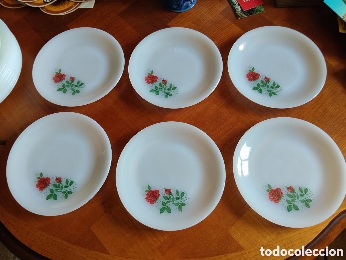 Segunda mano: Vajilla de 19 Platos ARCOPAL,France a&ntilde;os 60
