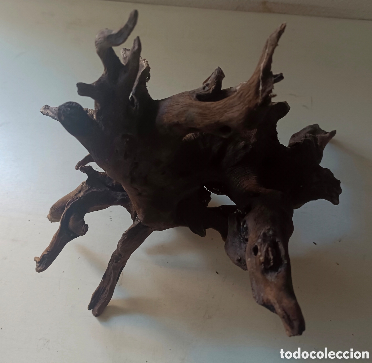 Segunda mano: Raiz de madera natural acuario o terrario