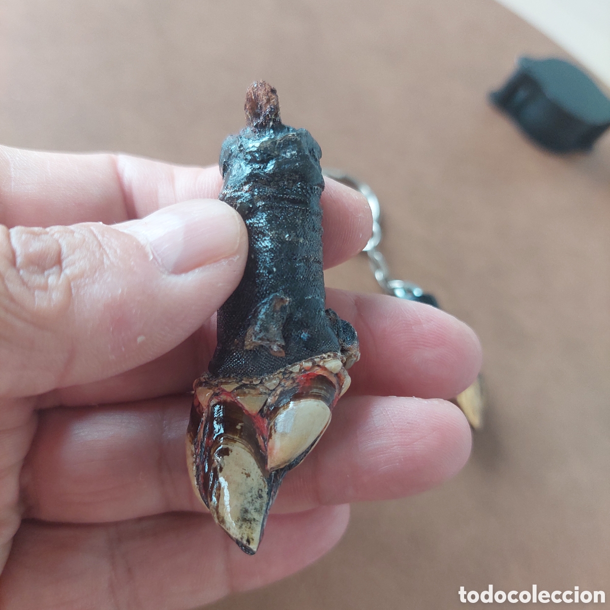 Segunda mano: Colgante y llavero percebe. - Foto 2