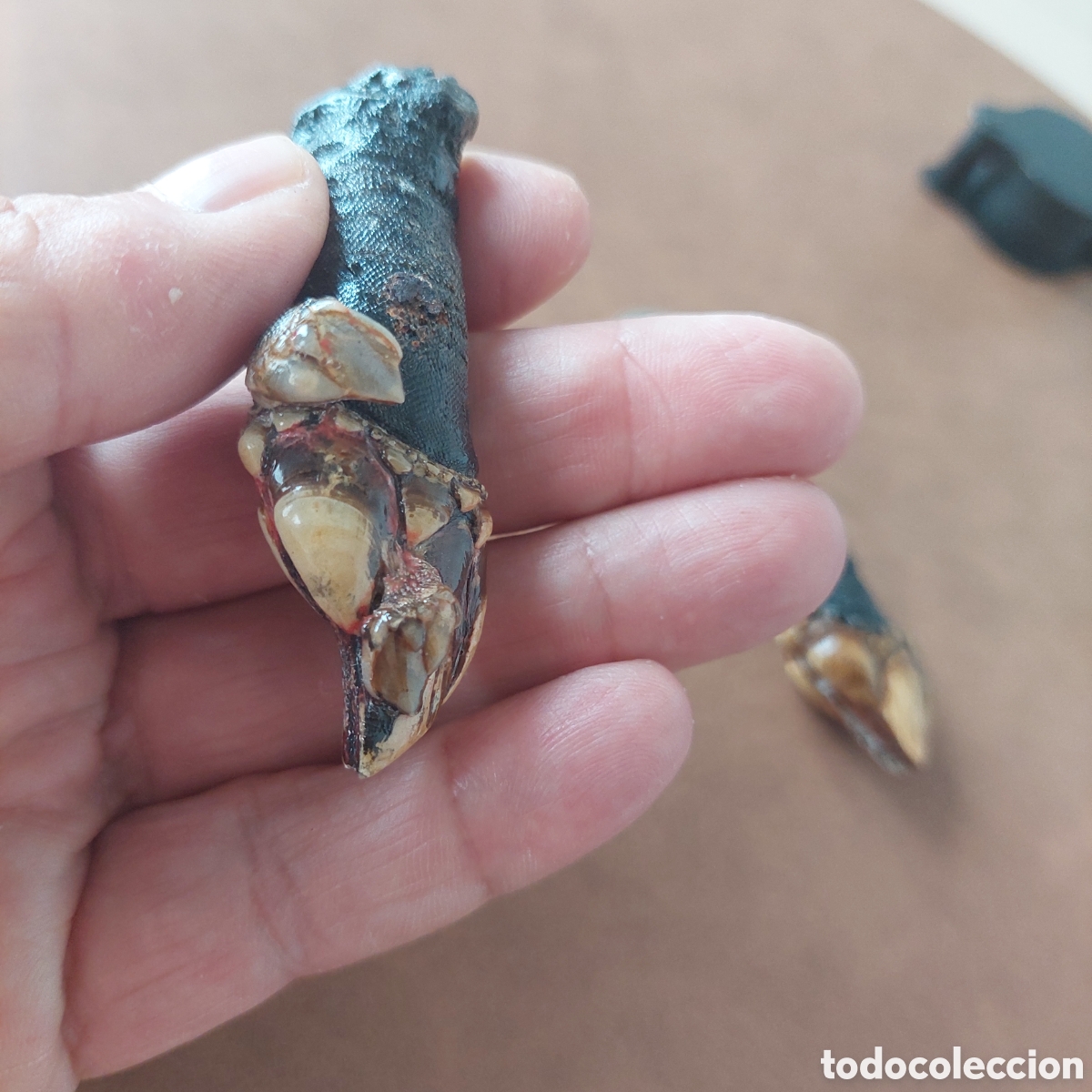 Segunda mano: Colgante y llavero percebe. - Foto 4