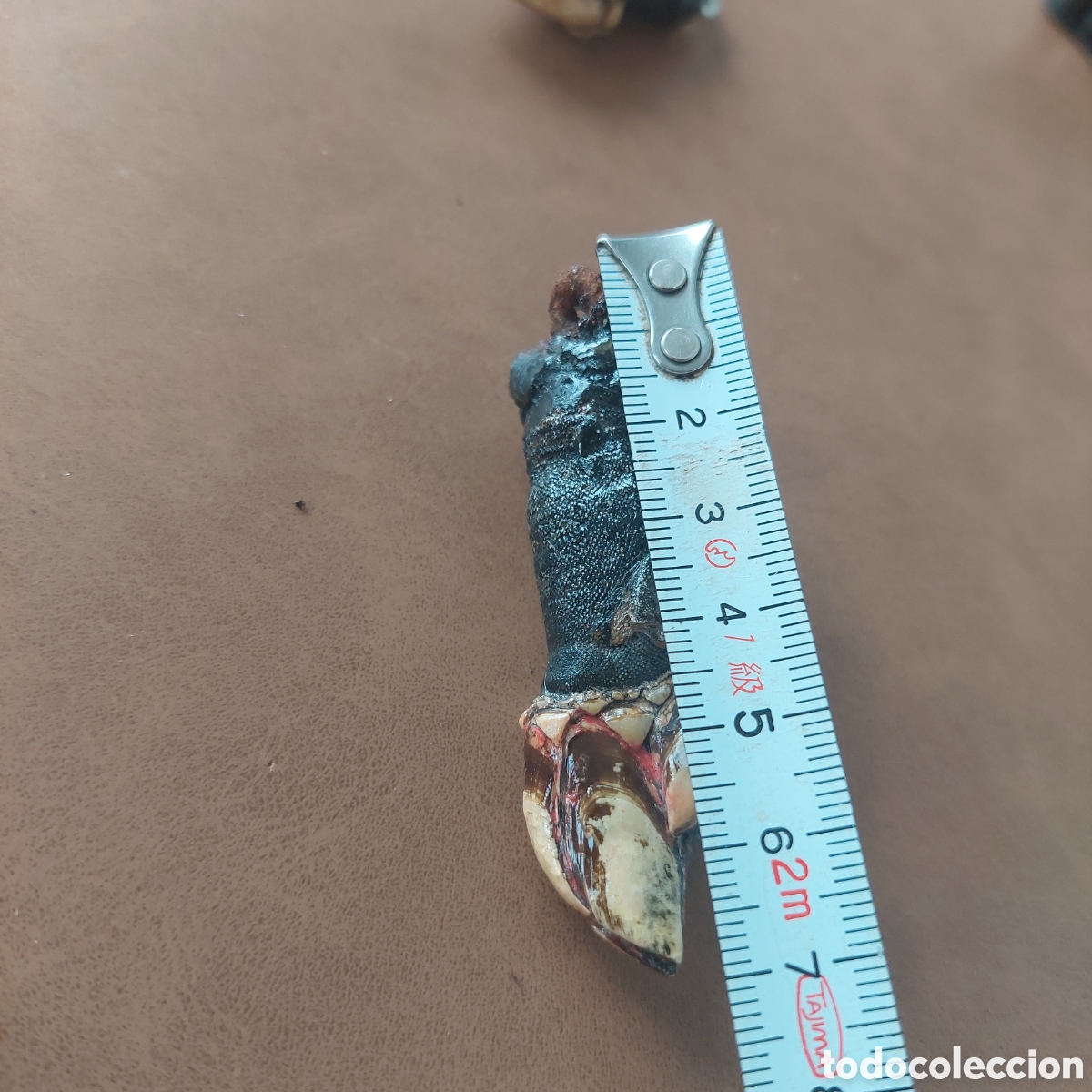 Segunda mano: Colgante y llavero percebe. - Foto 8