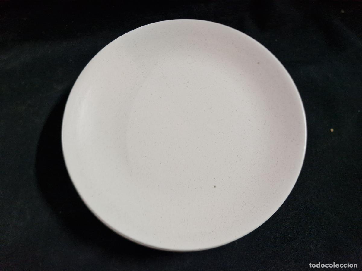 Segunda mano: 4 BONITOS PLATOS DE PORCELANA. COLOR BEICH. MEDIDA 25*25
