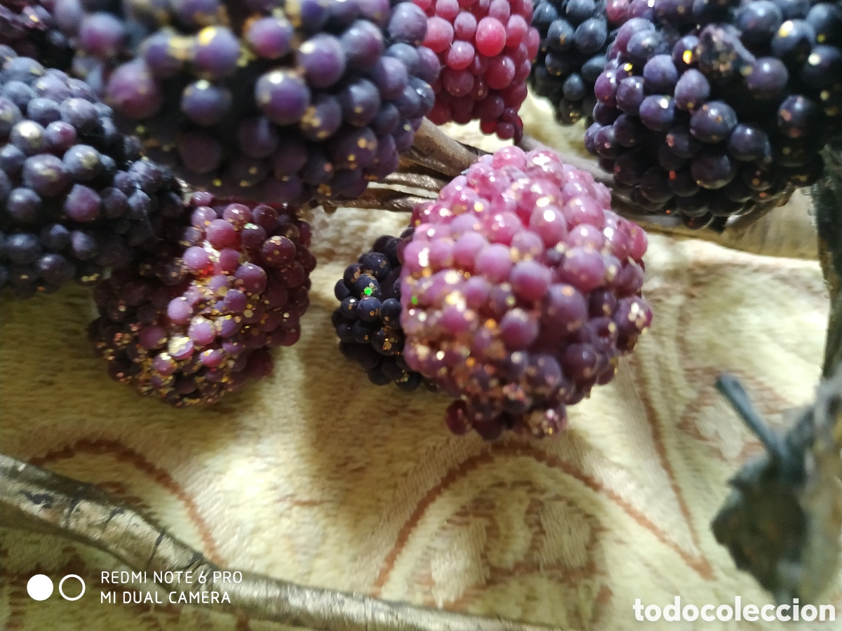 Segunda mano: 2 pics de fruta mora de navidad - Foto 3