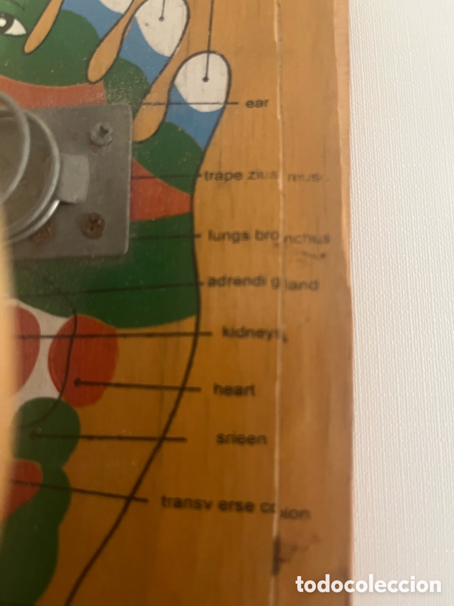 Segunda mano: Masajeador de pies en base de madera - Foto 6