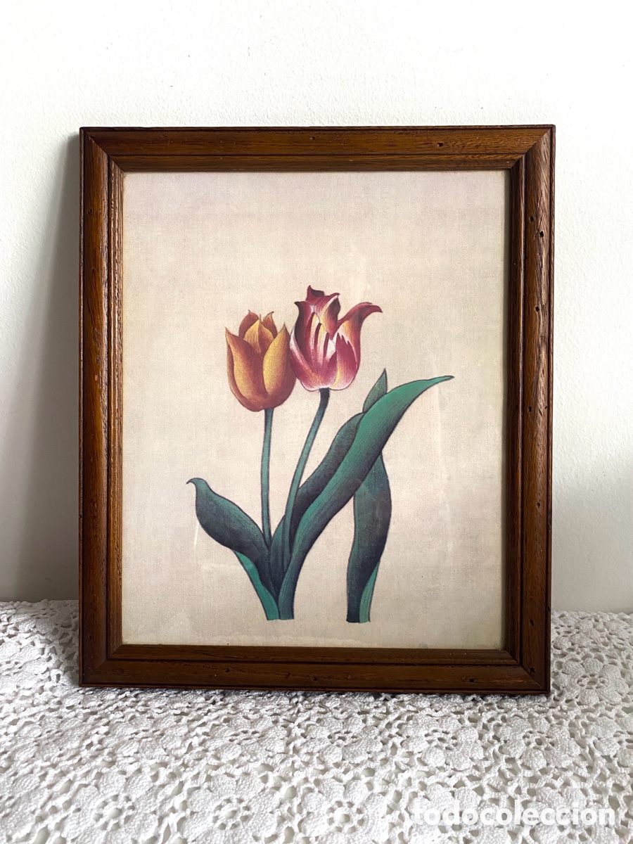 Segunda mano: Cuadro tulipanes pintados - Foto 1