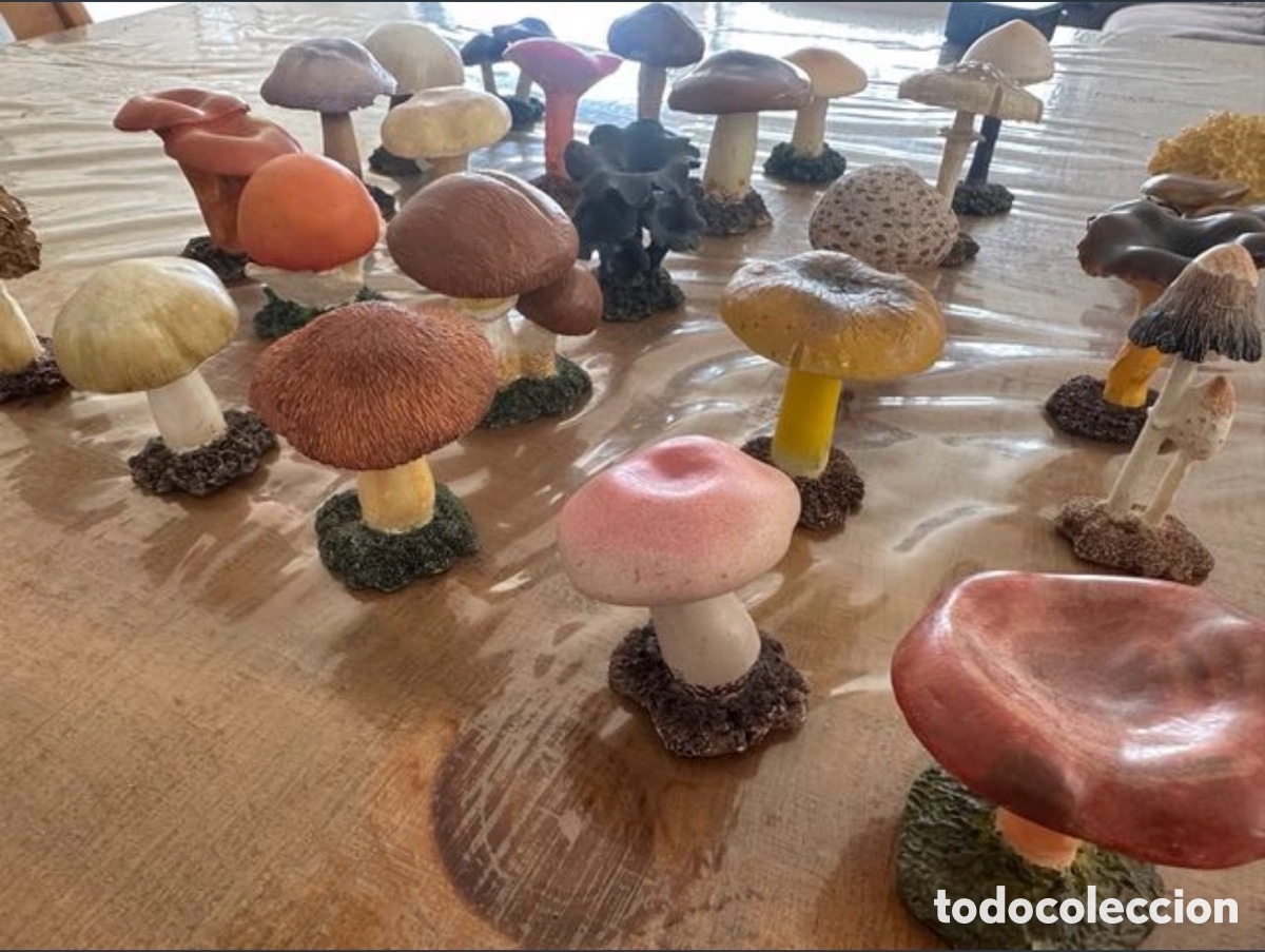 Segunda mano: Colecci&oacute;n de 33 setas y hongos - Foto 1