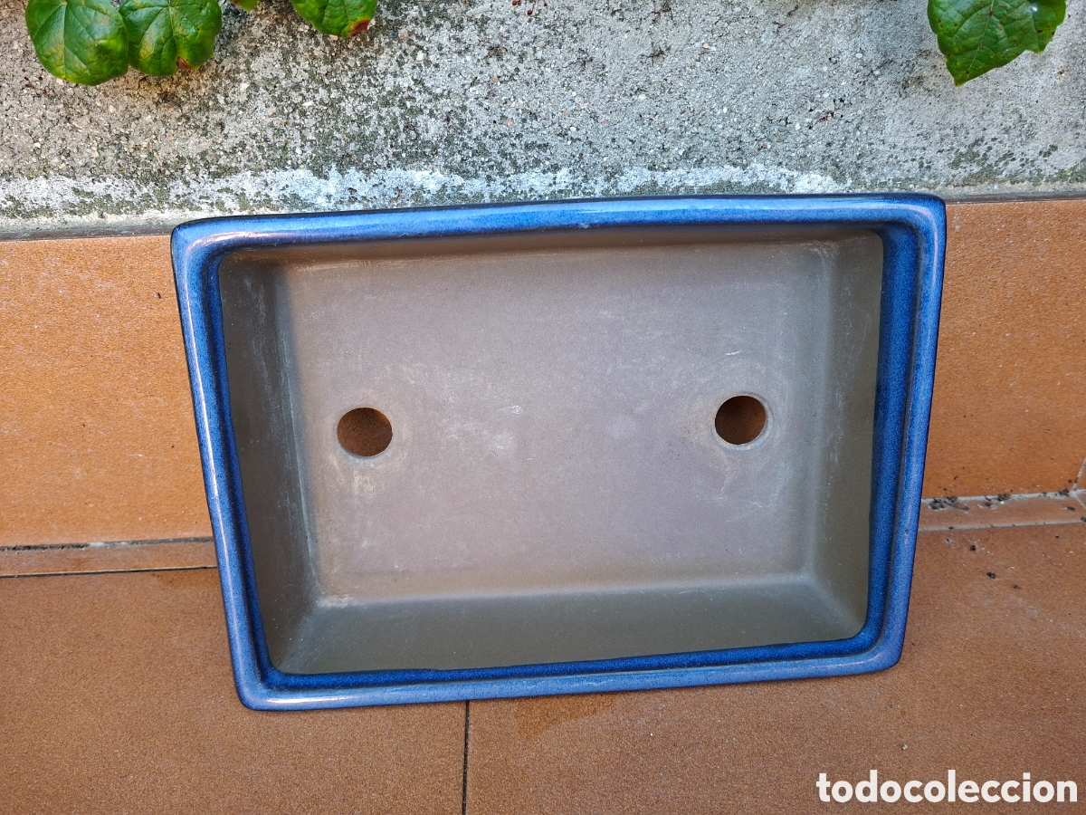 Segunda mano: Maceta para Bons&aacute;i Rectangular de Cer&aacute;mica Esmaltada Azul (26 cm) - Foto 3