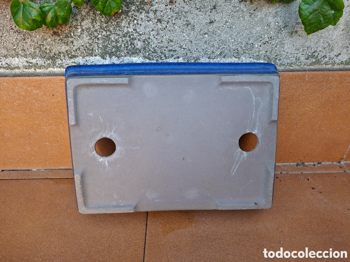 Segunda mano: Maceta para Bons&aacute;i Rectangular de Cer&aacute;mica Esmaltada Azul (26 cm) - Foto 4