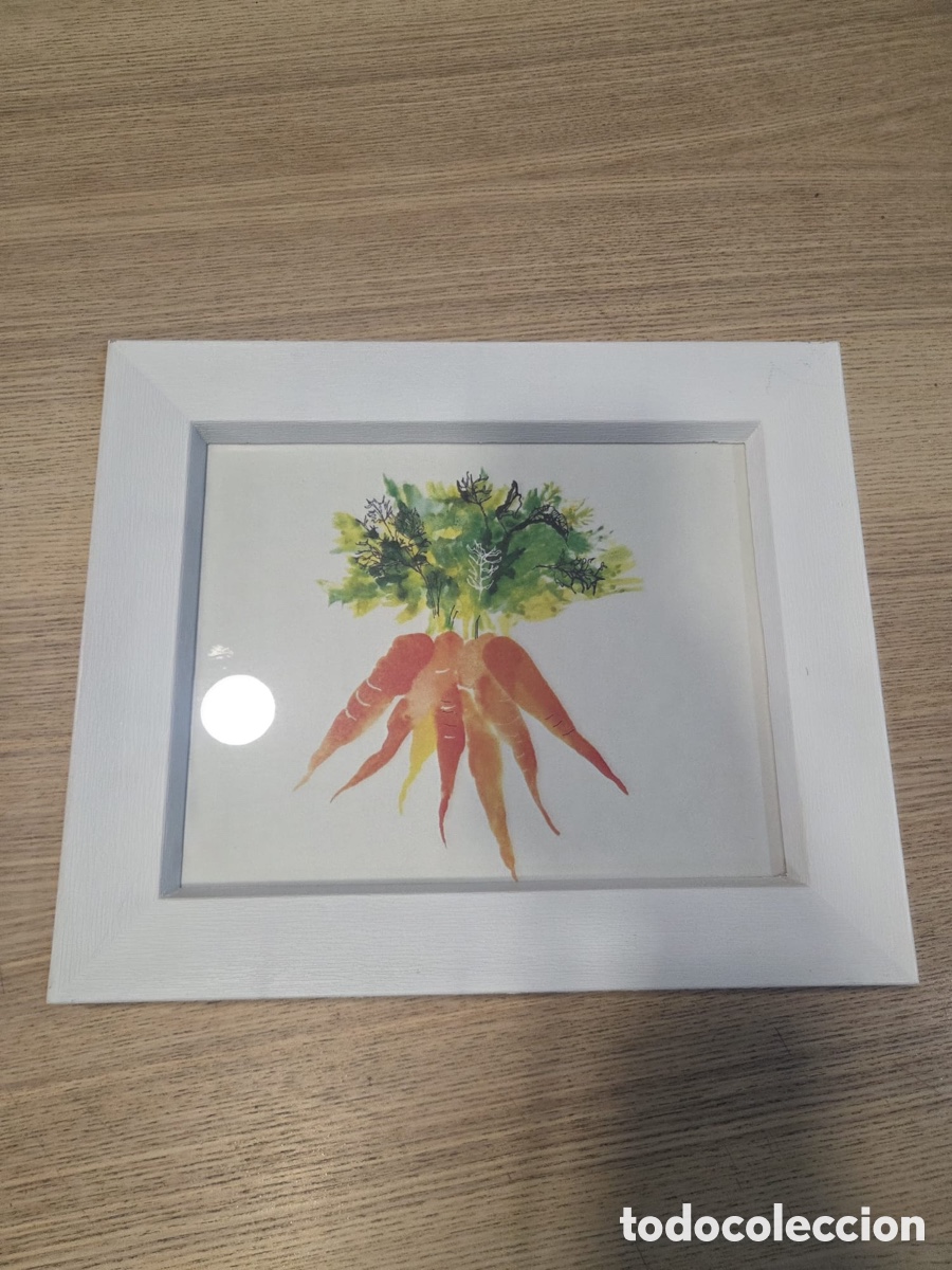 Segunda mano: Cuadro Decorativo Ilustraci&oacute;n Zanahorias Acuarela con Marco Blanco (25x20 cm)
