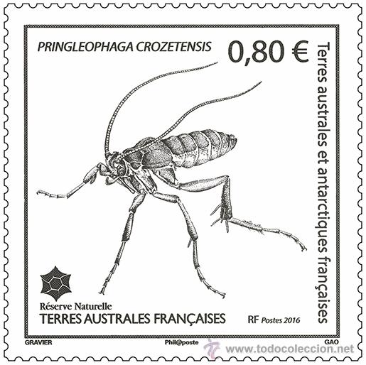 Sellos: TAAF 2016 - hInsecte de Crozet mnh - Foto 1