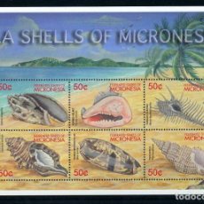 Sellos: MICRONESIA 2001 SHEET MNH FAUNA MARINA MARINE LIFE COQUILLAGES SHELLS SEASHELLS CONCHAS MUSCHELN. Lote 363826350